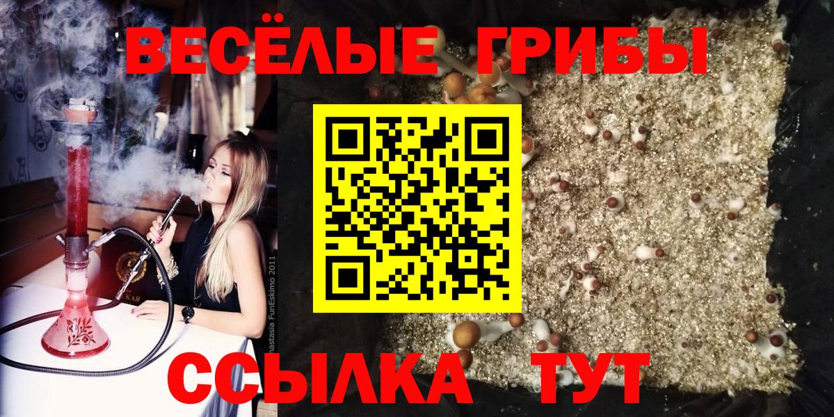 Котельники  Галлюциногенные грибы мухоморы  Вход с VPN  где продают наркотики  Галлюциногенные грибы GOLDEN TEACHER 