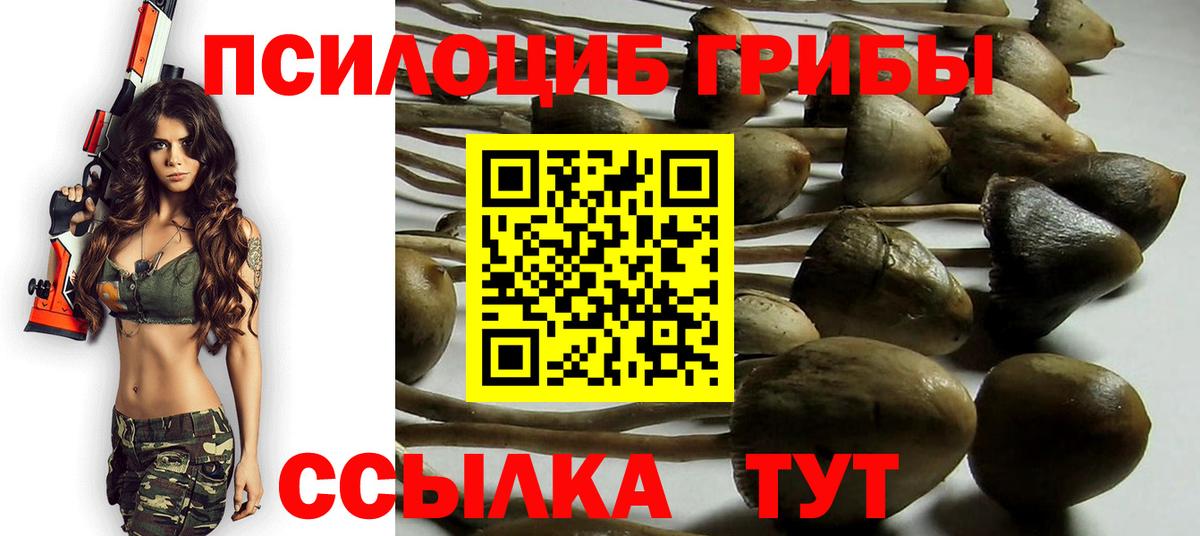 Псилоцибиновые грибы мицелий Котельники